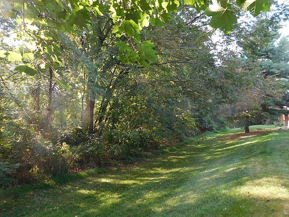 Lush & peaceful backyard with lots of privacy.