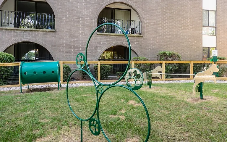 Dog park agility equipment