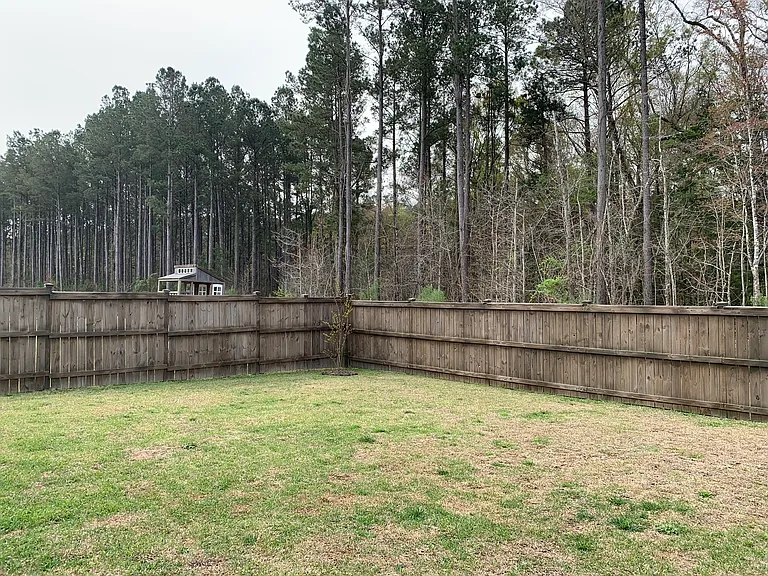 221 Pink Azalea St — Photo 53