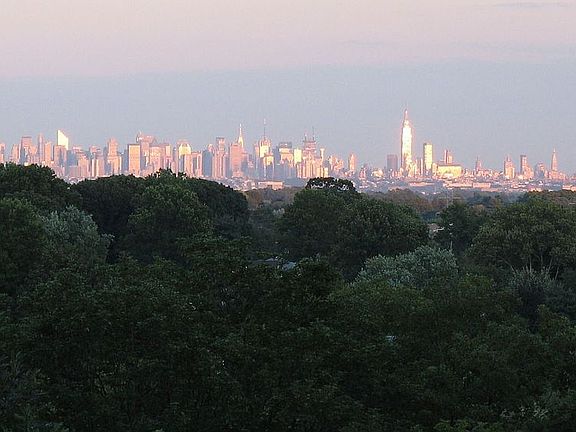 NYC VIEWS