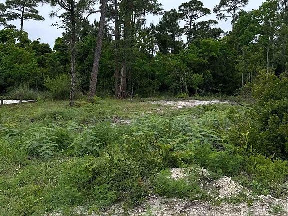 3rd image of 13000 Perdido Key Dr