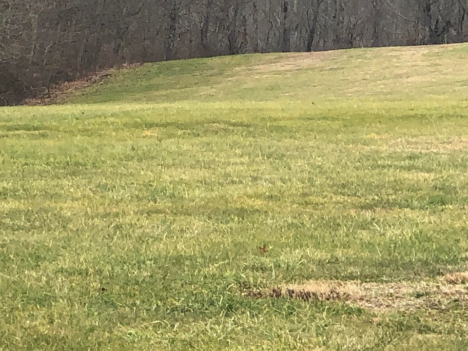 2nd image of 630 Highway 1676