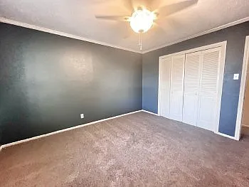 1438 Plumeria St — Photo 24