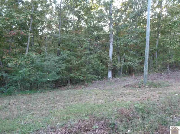 0 Anna Maria Dr Lot 50, New Concord, KY 42076