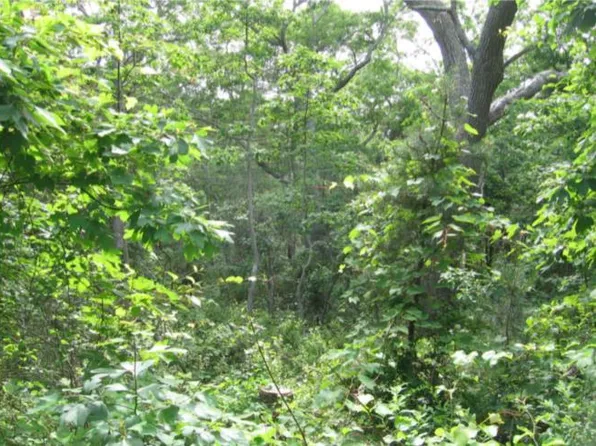 0 Algonquin Ave, Vineyard Haven, MA 02568