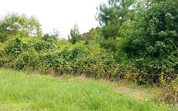 3rd image of 0 Paige Riddick Road LOT 3