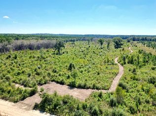 0 Cal Thomas Rd, Whigham, GA 39897