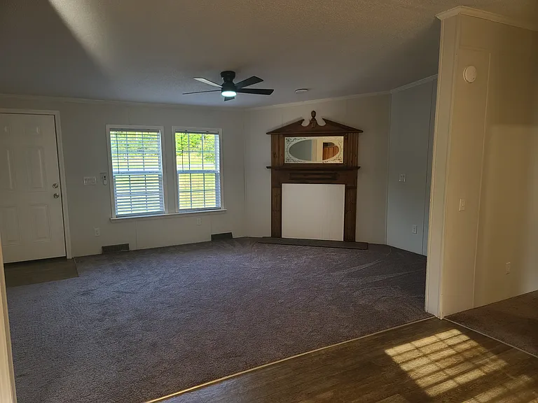 Living Room - new carpet