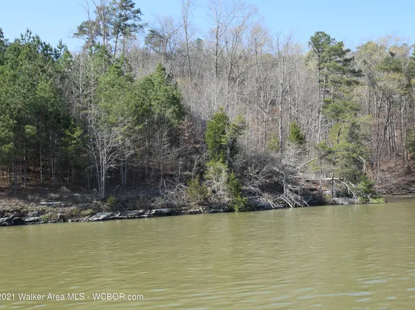 LOT 36 Edgewater Ests, Crane Hill, AL 35053