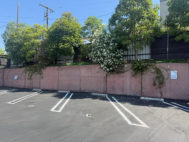 1111 Pico Blvd #7 — Photo 8