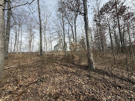 3rd image of 0 Grays Chapel Rd Lot 0