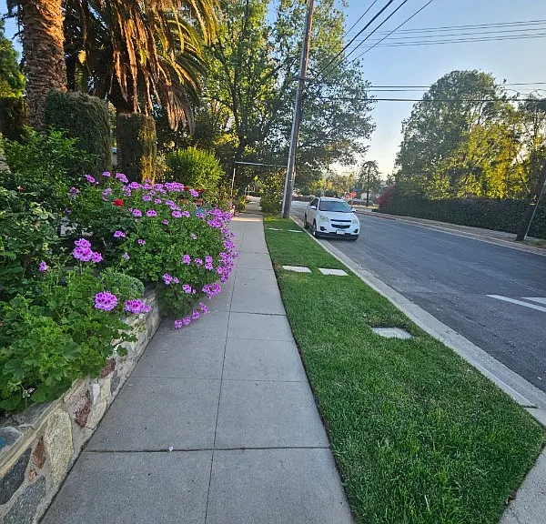 Willens Ave — Photo 21