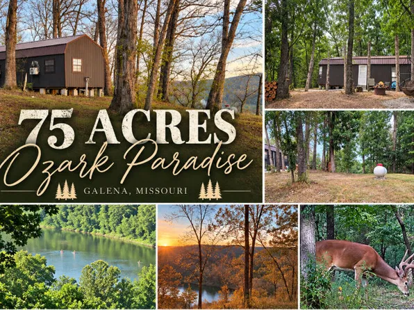 10 Power Mill Creek Road Road, Galena, MO 65656