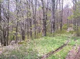 Fuller Hill Road, Downsville, NY 13755