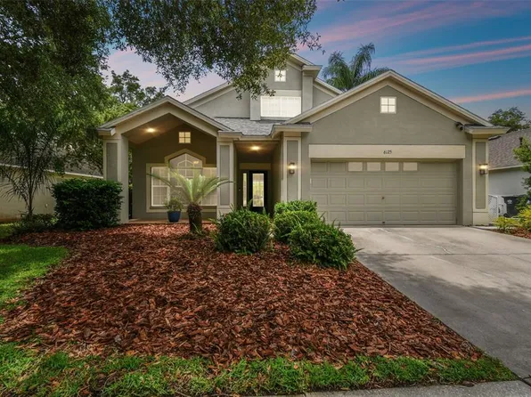 6125 Gannetdale Dr, Lithia, FL 33547