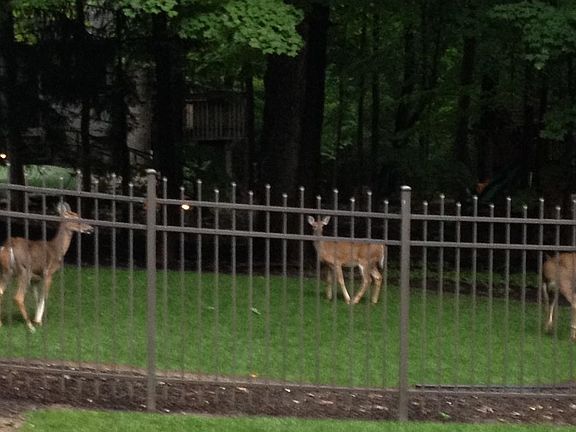 4th image of 1928 Durkees Run Ct