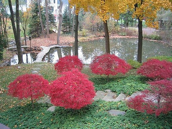 Path to Pond