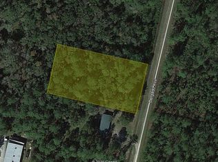 10535 Delgado Ave, Hastings, FL 32145