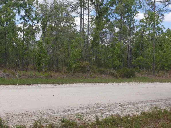 NE 15th St Lot 6, Williston, FL 32696