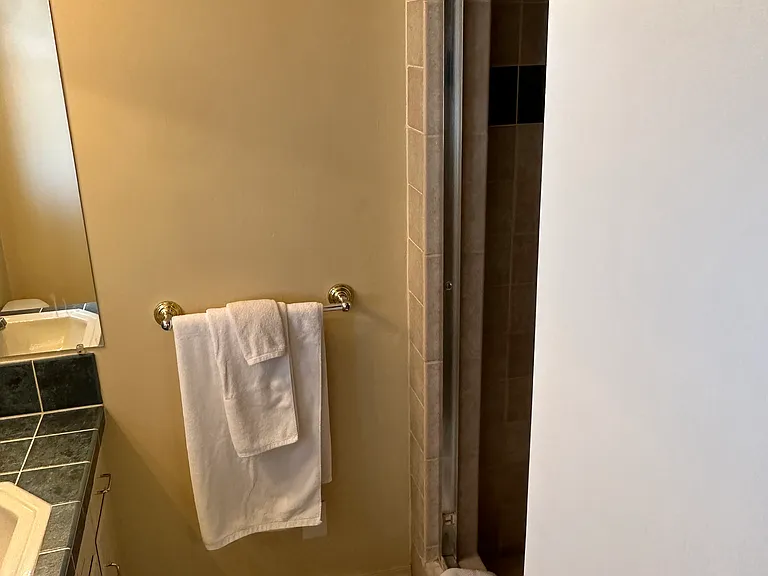 Primary bedroom attached bath