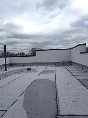 Rented by P Management | media 60