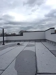 Rented by P Management