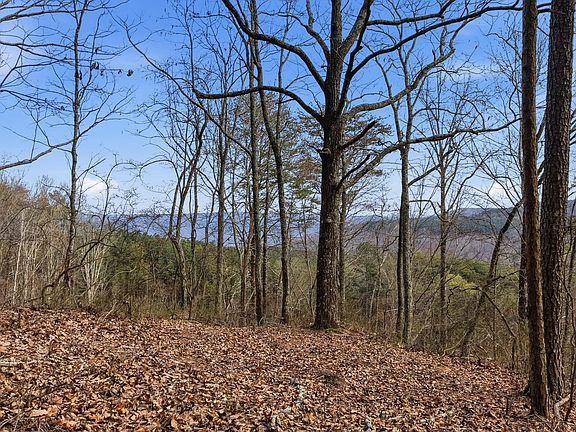 2nd image of 2154 Fallen Oak Pass