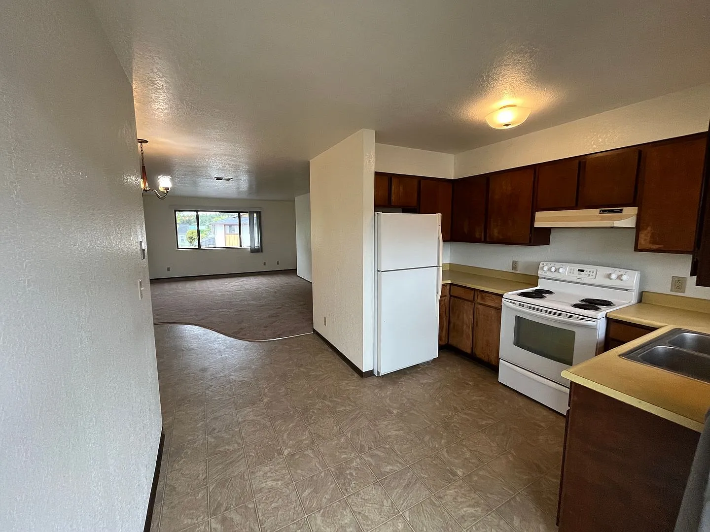 2241 Arbutus PRM: Henry (4) — Photo 4