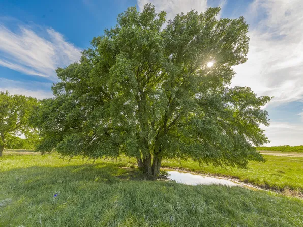 County Road 132, Coleman, TX 76834