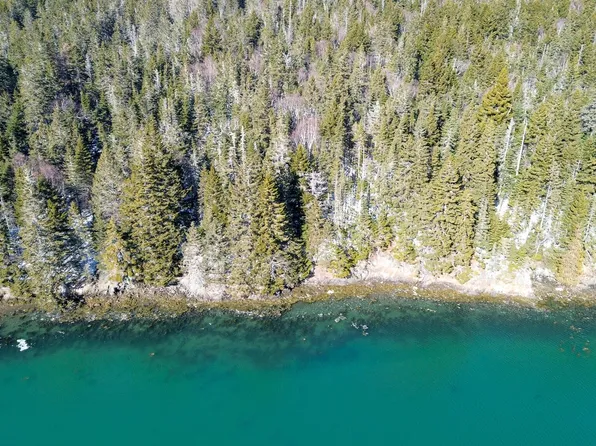 0 Map WA032 Plan 05 Lot 31.1 Road, Trescott Twp, ME 04631