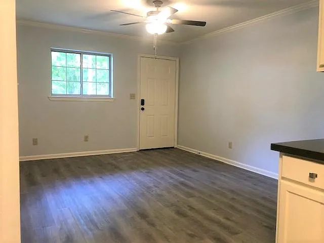 1 bed, $950 — Photo 4