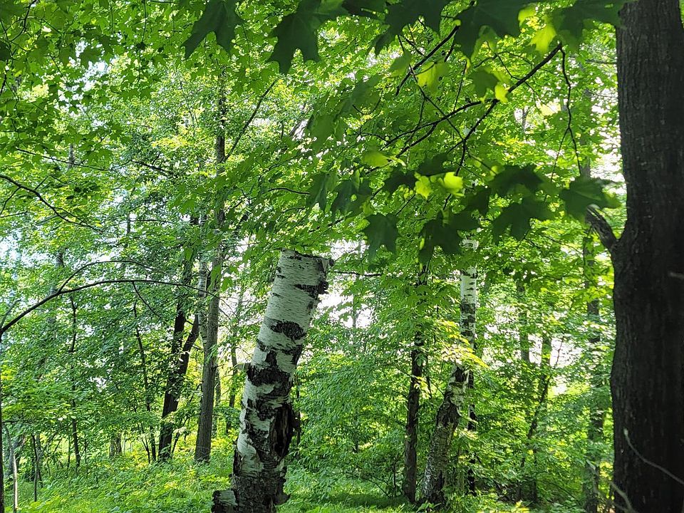 Lakeview Dr, Cushing, MN 56443 MLS 6492947 Zillow