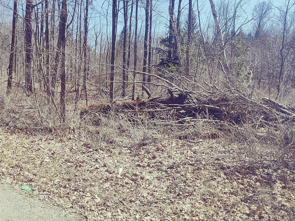 2nd image of 0 Schott Rd