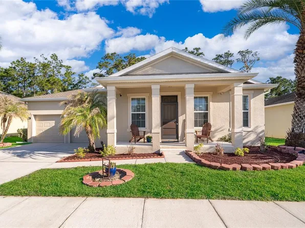 2521 Marshfield Preserve Way, Kissimmee, FL 34746