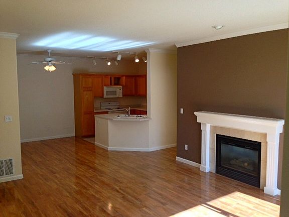 Living room and kitchen