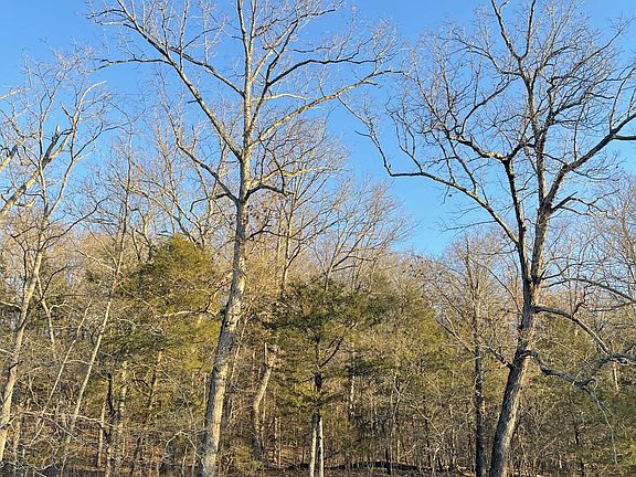 2nd image of Tract 2 County Road 14-534