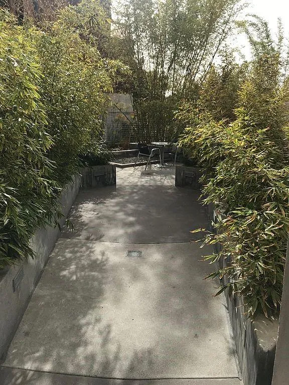 1 bed, 1000 sqft, $3,000 — Photo 3