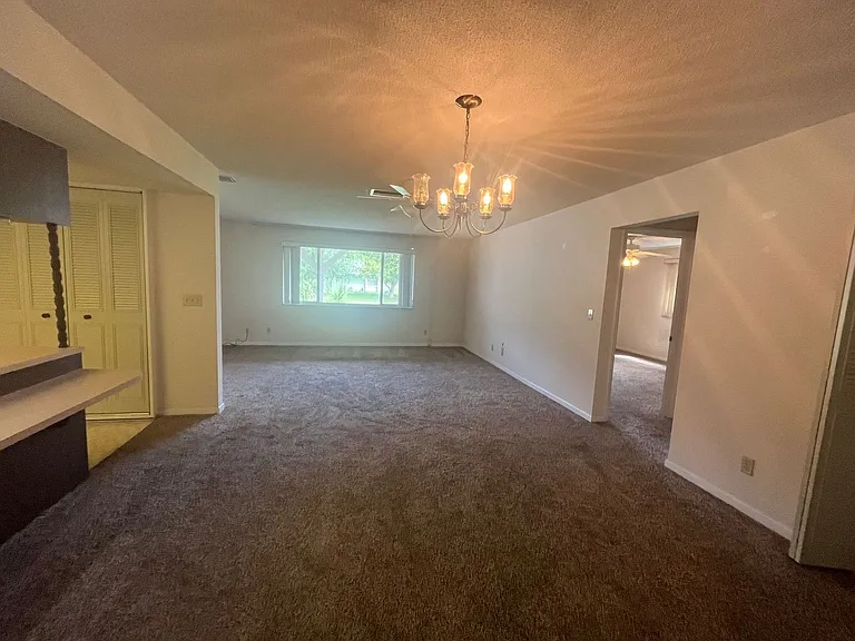 13 Courtney Pl — Photo 2