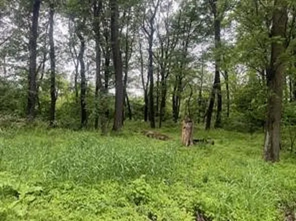 Lots 89 And 90 Laurel Summit Rd, Boswell, PA 15531