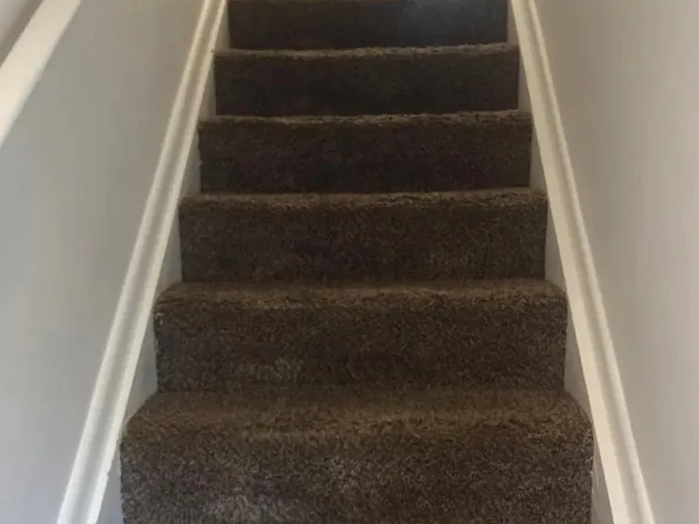 1734 Dutch Village Dr — Photo 7