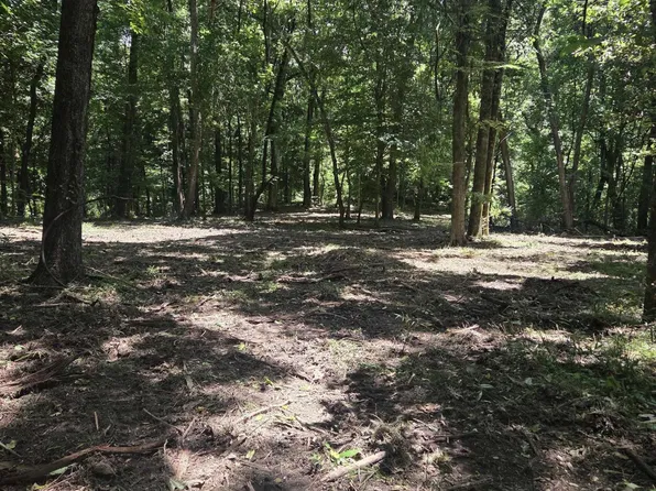 Ouida Irondale Rd, Saint Francisville, LA 70775