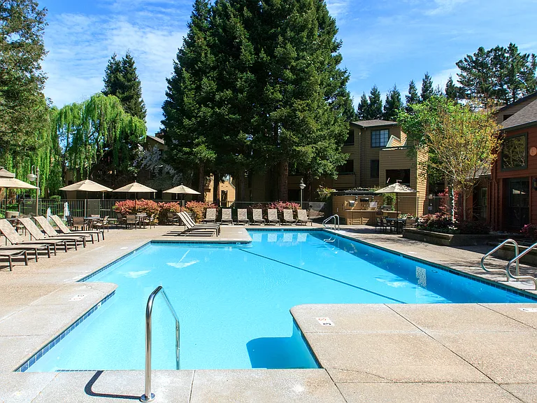 Shadow Creek Apartments — Photo 13