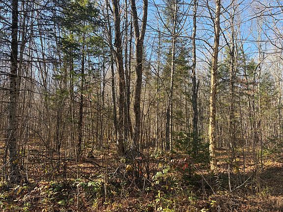3rd image of ON PINE CREEK RD