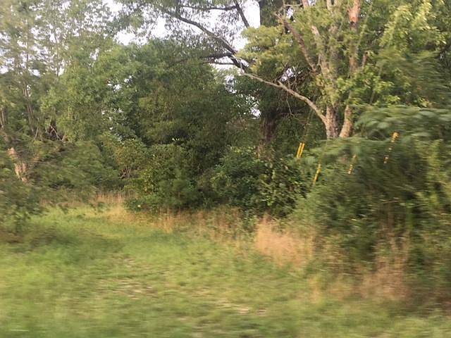 1st image of 1524 County Road 155