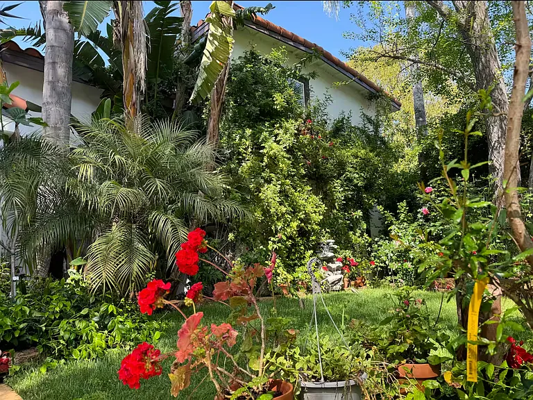 21001 Costanso St — Photo 10