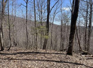 0 Meadow Loop Rd, Ellijay, GA 30536