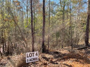 4 County Road 4609, Ben Wheeler, TX 75754
