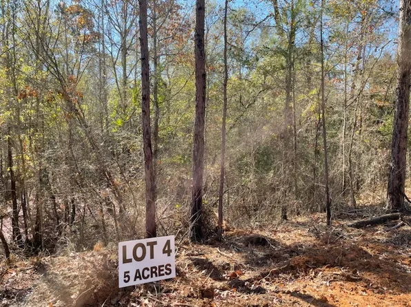 4 County Road 4609, Ben Wheeler, TX 75754