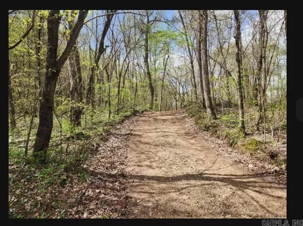 12-16 Acres Newton #8650, Jasper, AR 72641