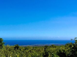 Amepela Rd LOT 30, Naalehu, HI 96772